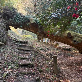 久しぶりのハイキング⛰️