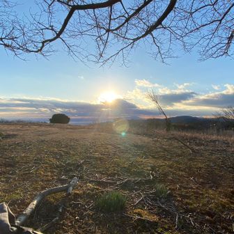 ｷﾀｰｰｰｰｰｰｰ♪───Ｏ（≧∇≦）Ｏ────♪
あけおめあけおめ〜🌅