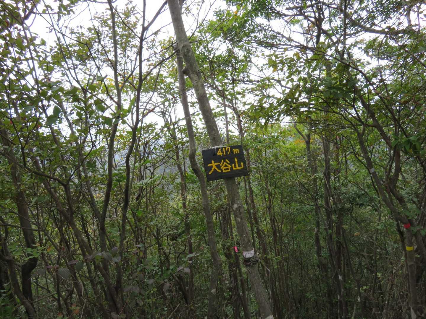 大谷山　419 m