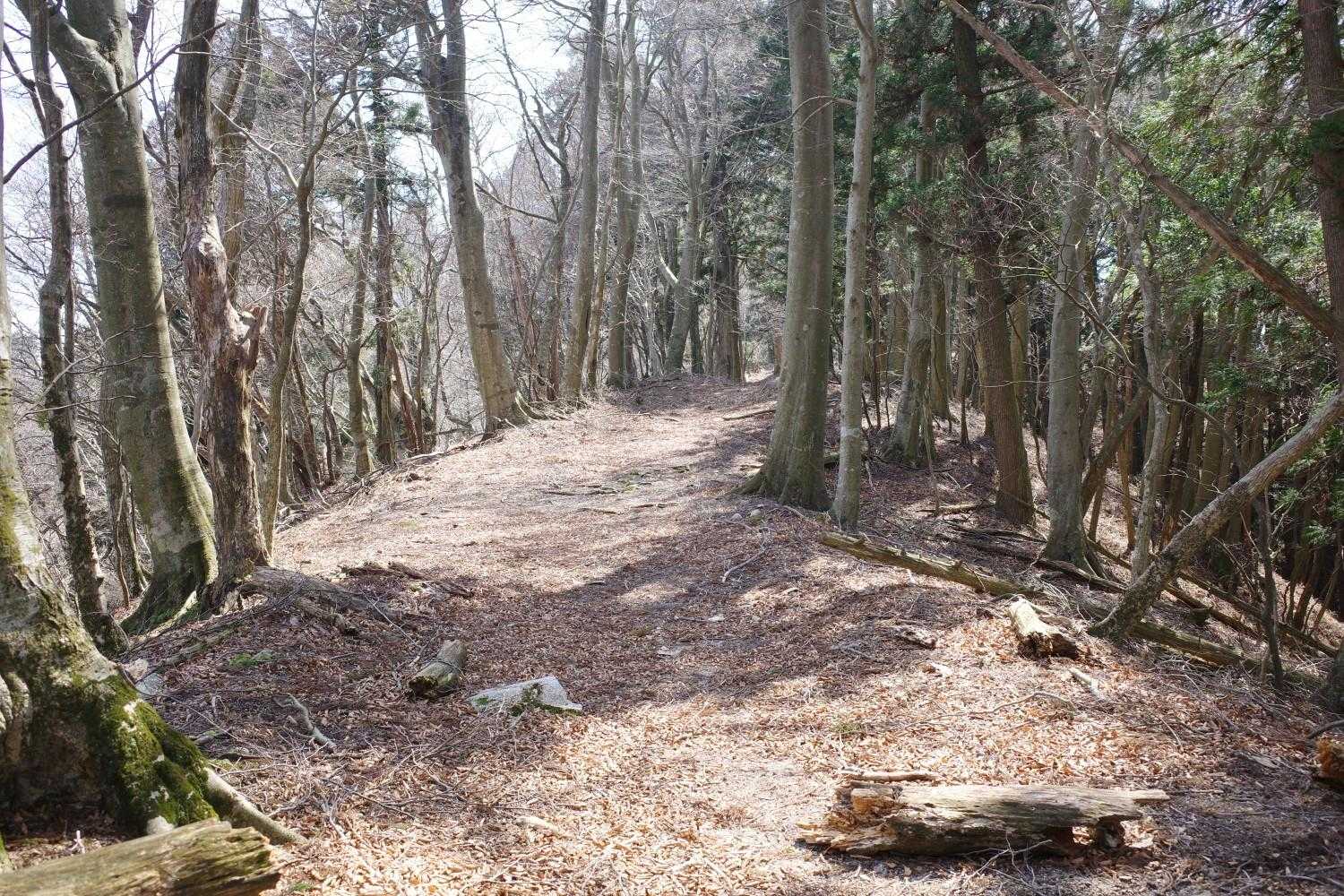 楢原山 往復コースの写真