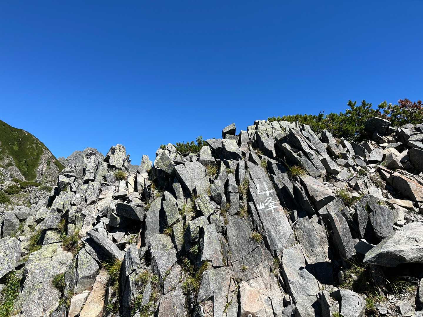 「山頂まで行かなくてもいいんだからね。無理だったら引き返そう。」
そういえば今日のMちゃんは、事ことある毎に繰り返し私に言ってくれてた。
