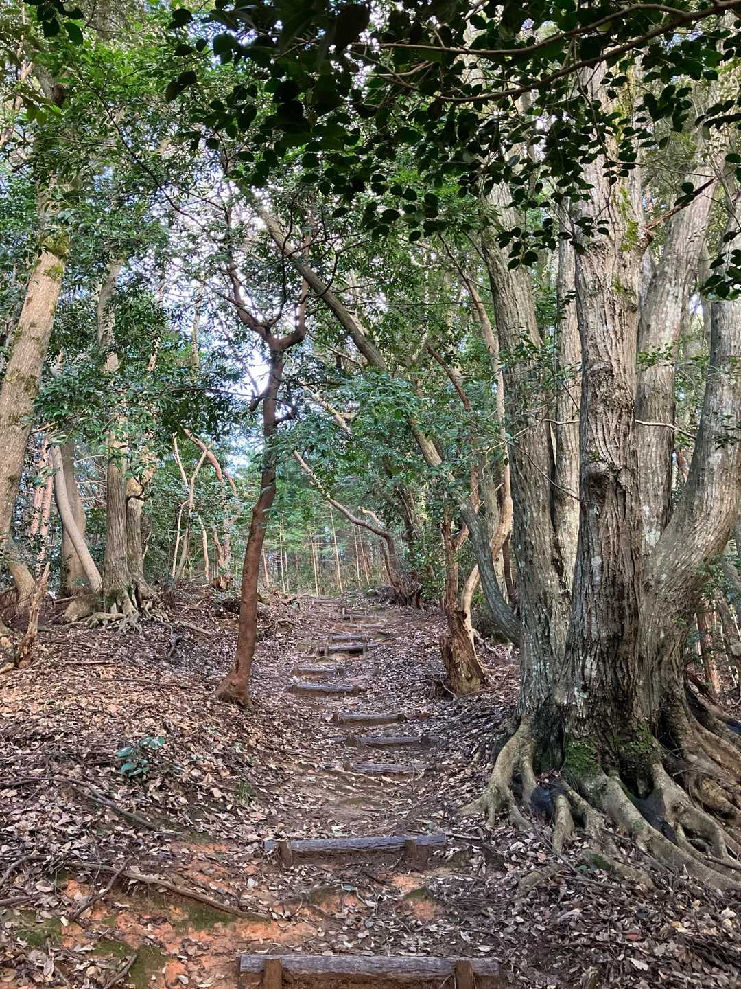八十八のお地蔵様に見守られながら歩きます🙏