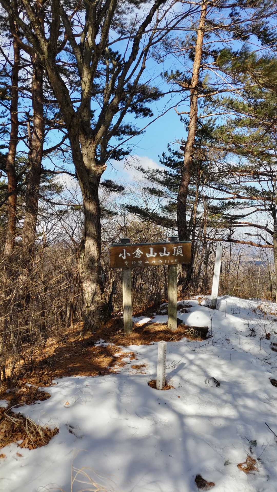 小倉山山頂