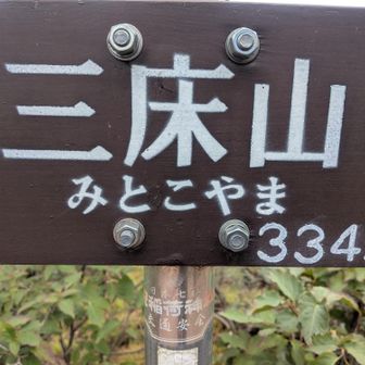 よく見たら神社が設置したらしい