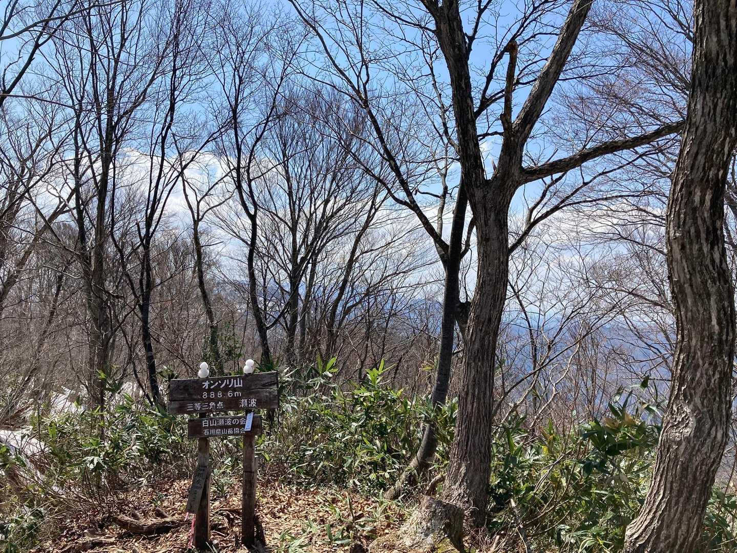大恐山 往復コースの写真