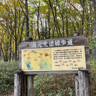 無事到着
皆様ありがとうございました☺️