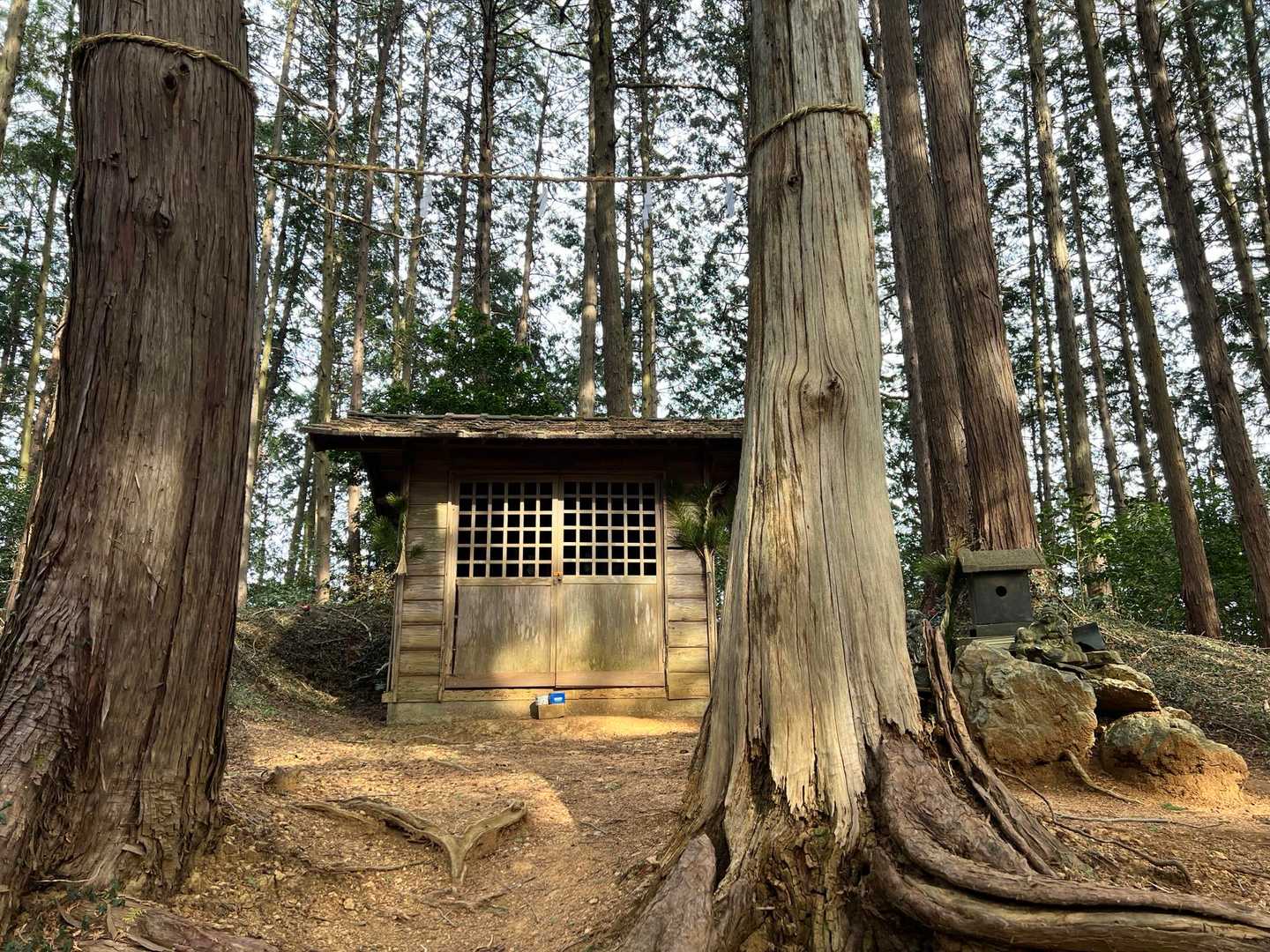 物見山の手前にひっそりとお社あり。参拝します🙏