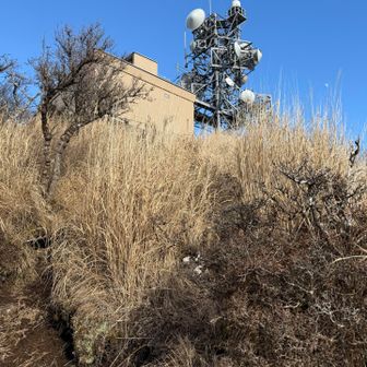 鶴見岳山頂ももう少し