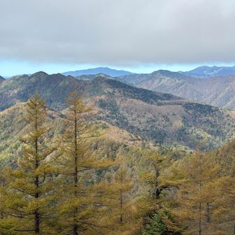 中央奥は金峰山。右奥は甲武信岳