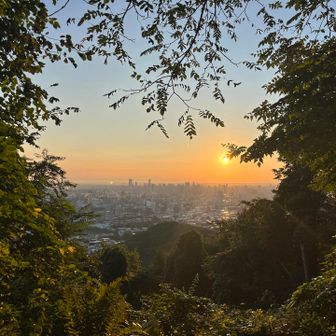 ここからもいい景色✨