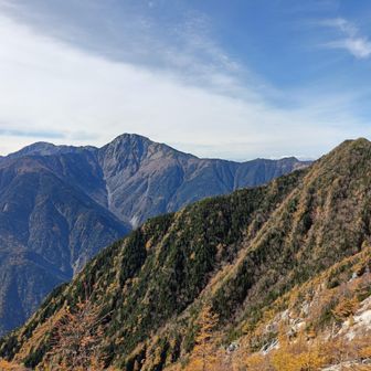 紅葉したカラマツと北岳
