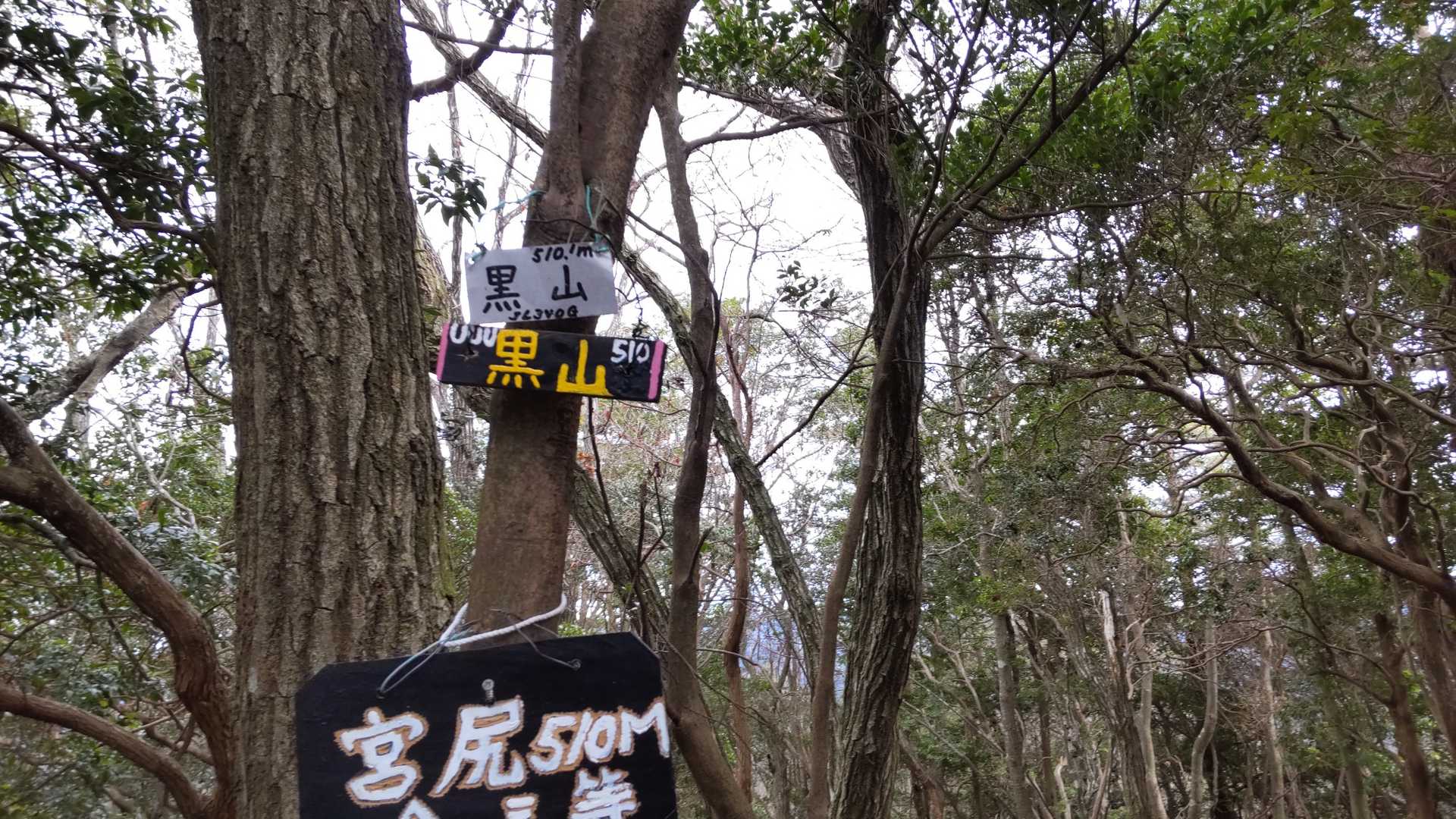 黒山🙌