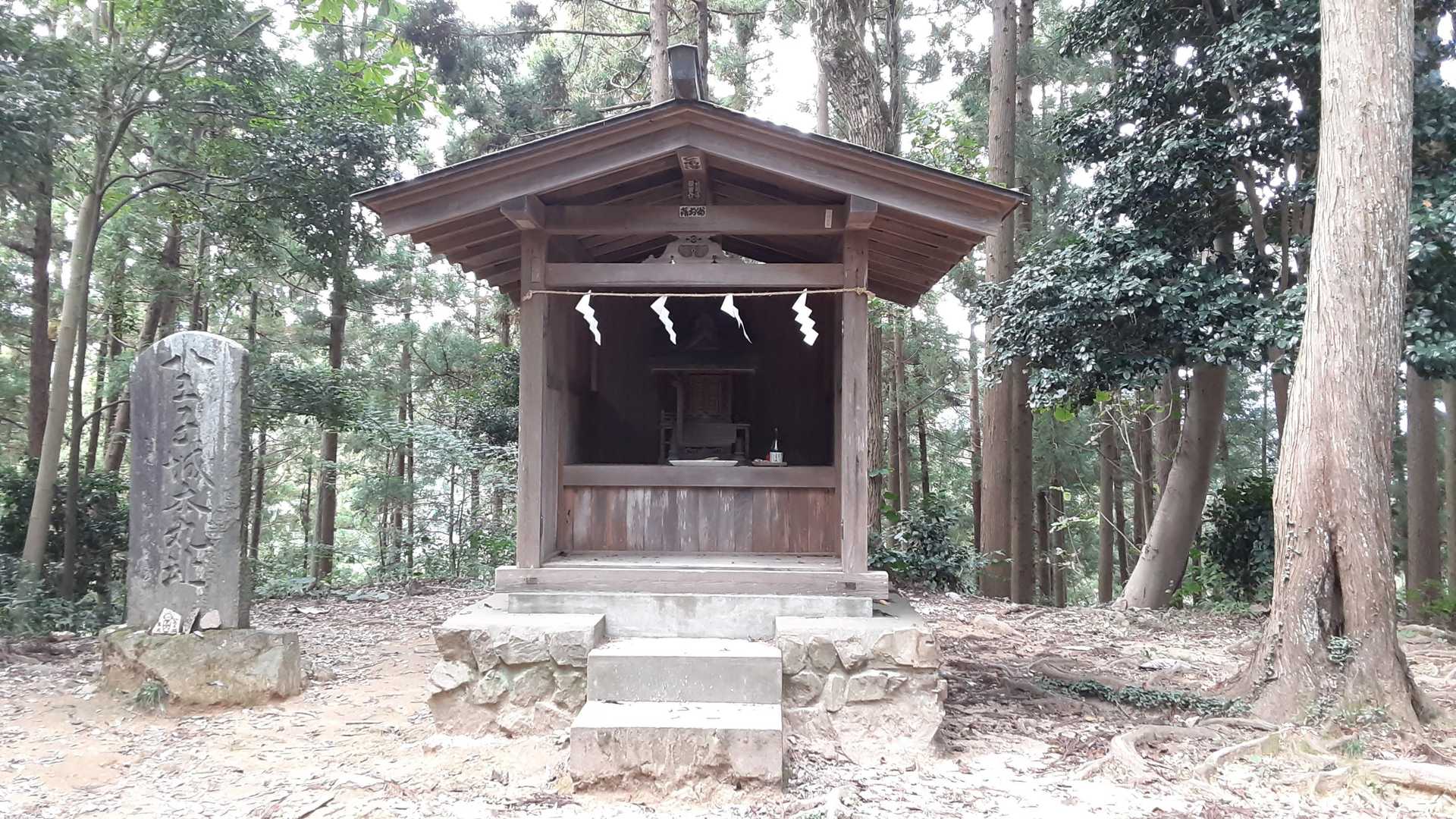 お久しぶりです