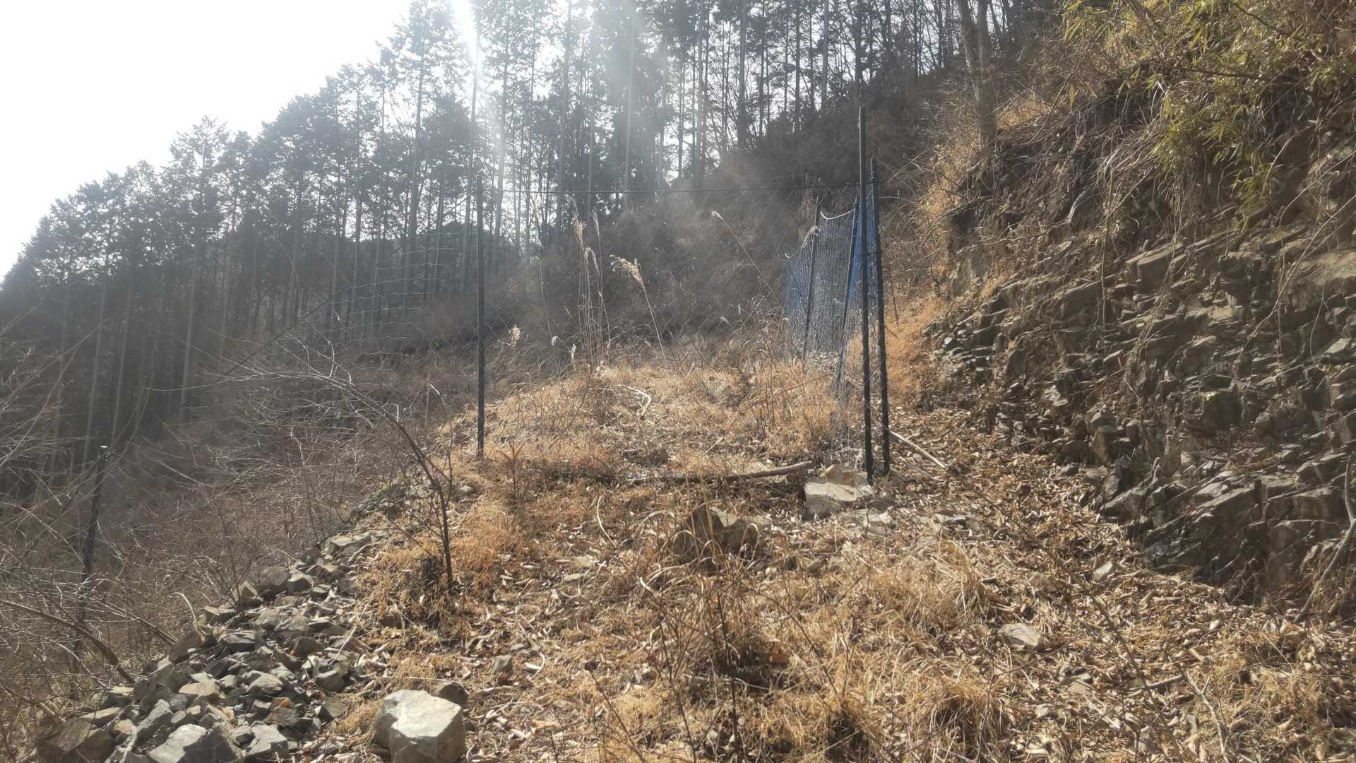 火戸尻山 往復コースの写真
