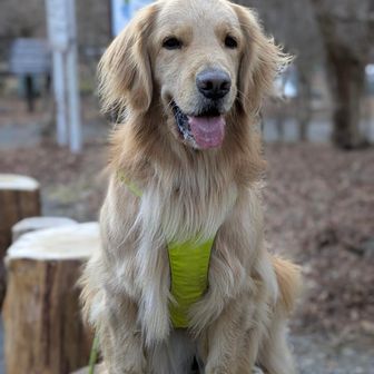 🐕️西丹沢ビジターセンター到着✌
🪵得意の切株で待ち