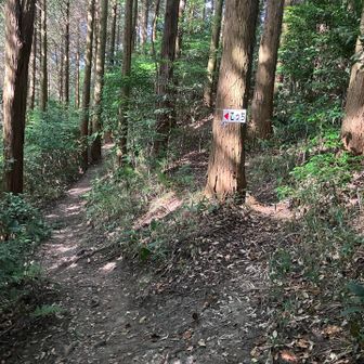 こっち↖️