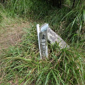 孫岳
その先へ