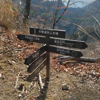 案内板の😁標記が👍️