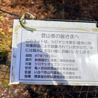 保護地区