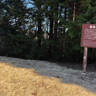 鷹巣城跡
鷹巣山です。