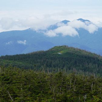 あの山⁉️池塘ぽいの見えるけど.......
気をなるなぁ