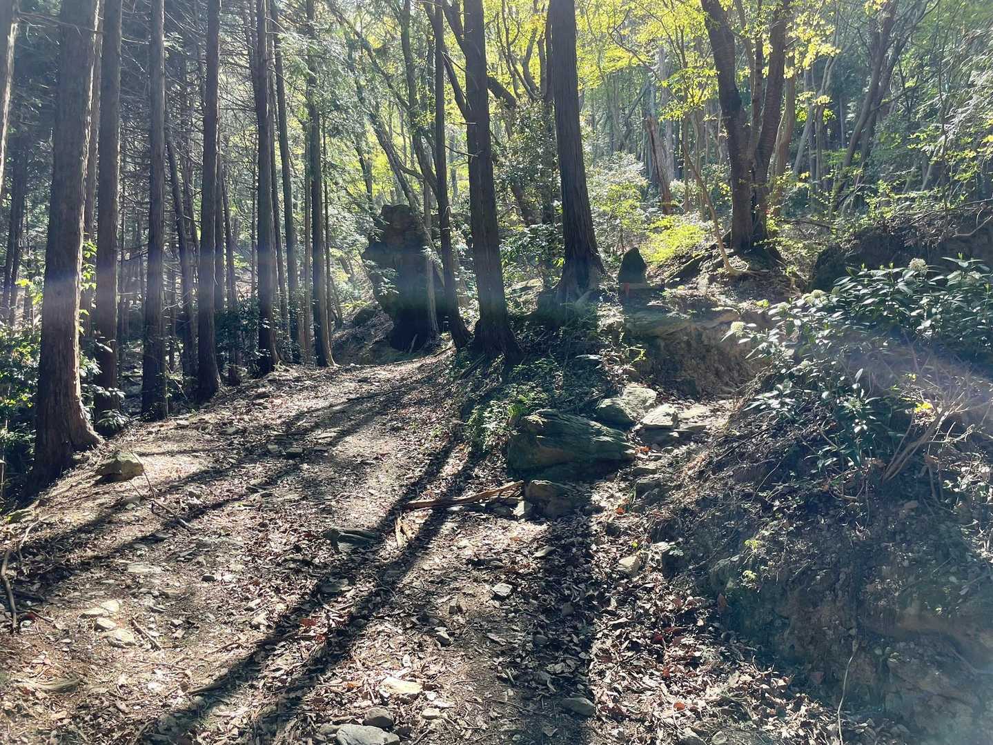 ここを右に曲がって山頂方面