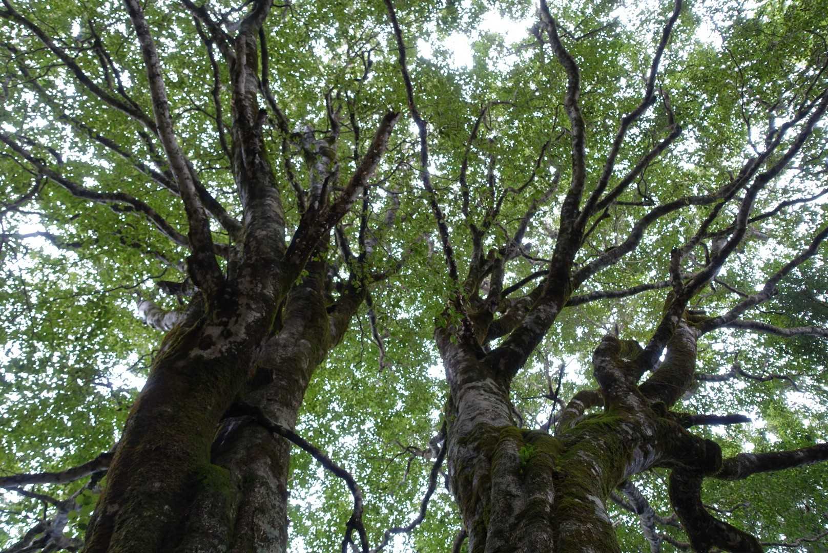 パワー感じる‼️