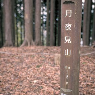さぞかし景観のよい山と思って来たら周りは林だった