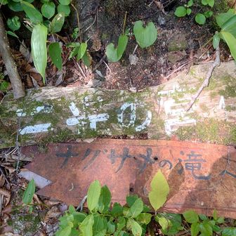あ〜〜いとをかし…
色麻コース往復された方とスライド、小荒沢林道倒木は処理されたようで、問題なく通行出来たそうです。
林道整備ありがとうございました😊