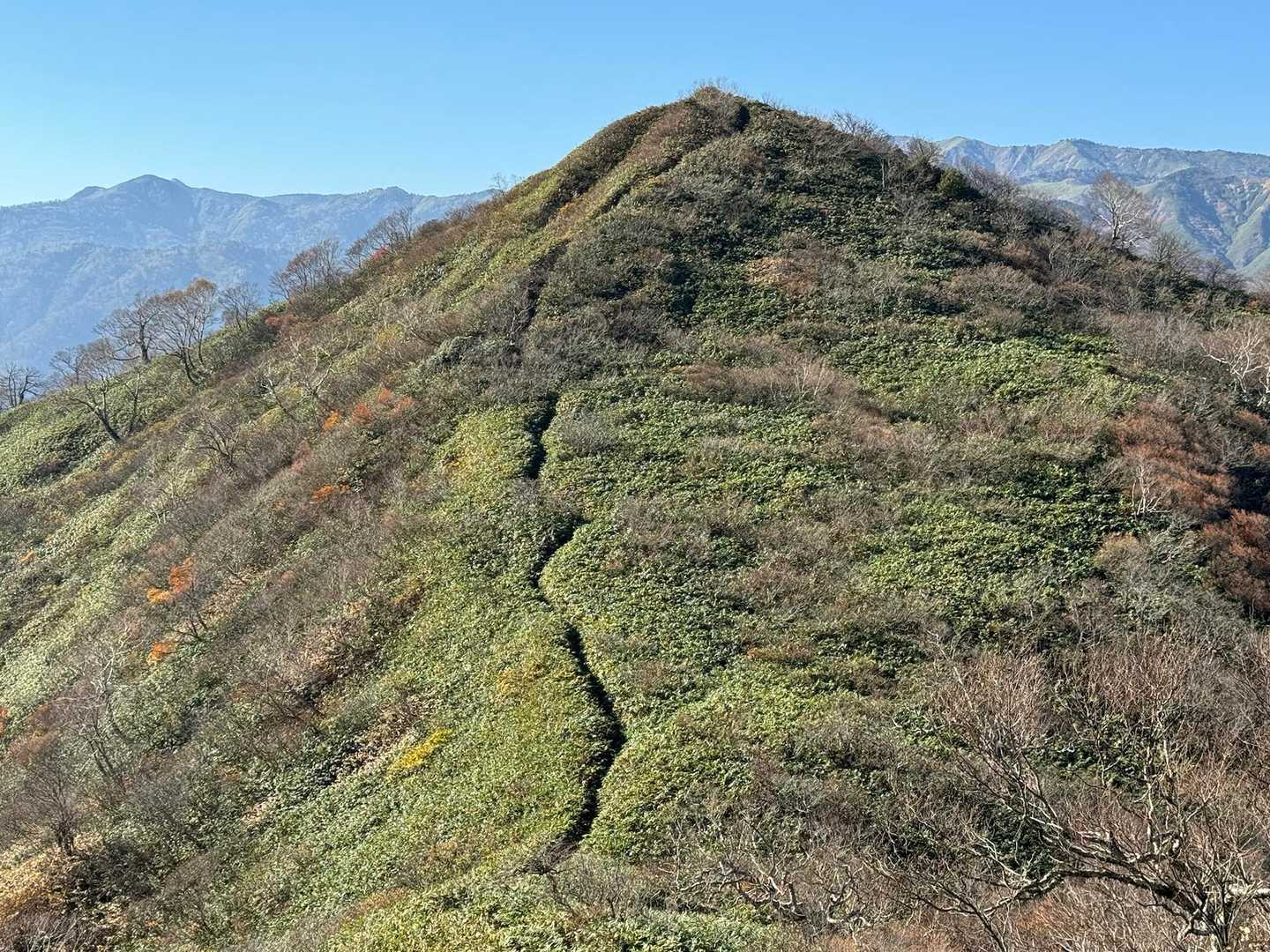 これから歩く道がくっきり😳