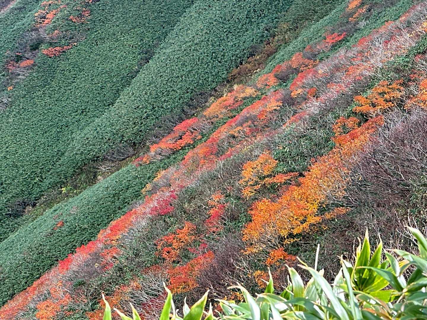 姥沢-牛首-月山 往復コースの写真