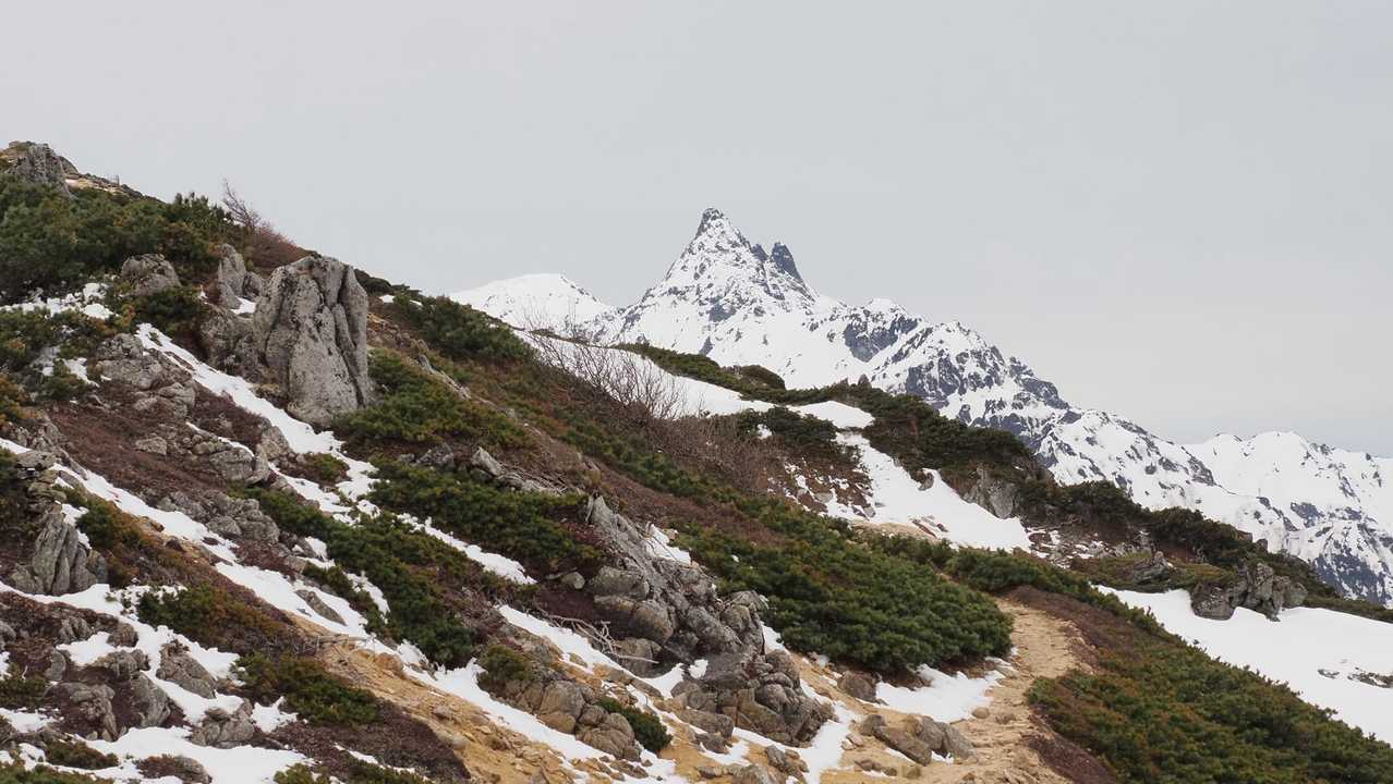 燕岳、残雪の稜線へ の写真 41