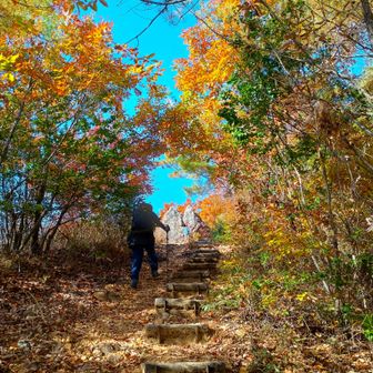 階段キツイ
(´Д`;)