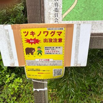 🐻注意⚠️