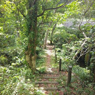 内輪山の丸山お鉢周り。