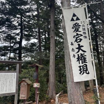 愛宕山というだけあり、愛宕大権現の社がありました。幟には北条氏の三つ鱗紋がありました。