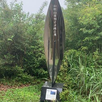 和歌山県朝日夕陽5選の絶景ポイントらしいですが、ガスってて何も見えません💦