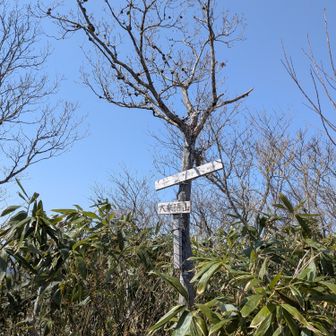 頂上🙂

昔は山城であったといわれる。