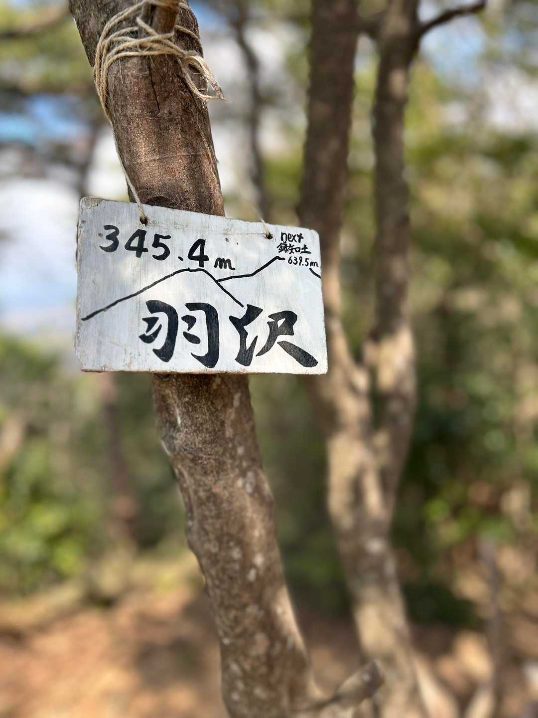 羽沢-鎌知土-田代越-飯盛山 周回コースの写真