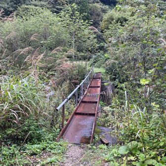 戻ってきた