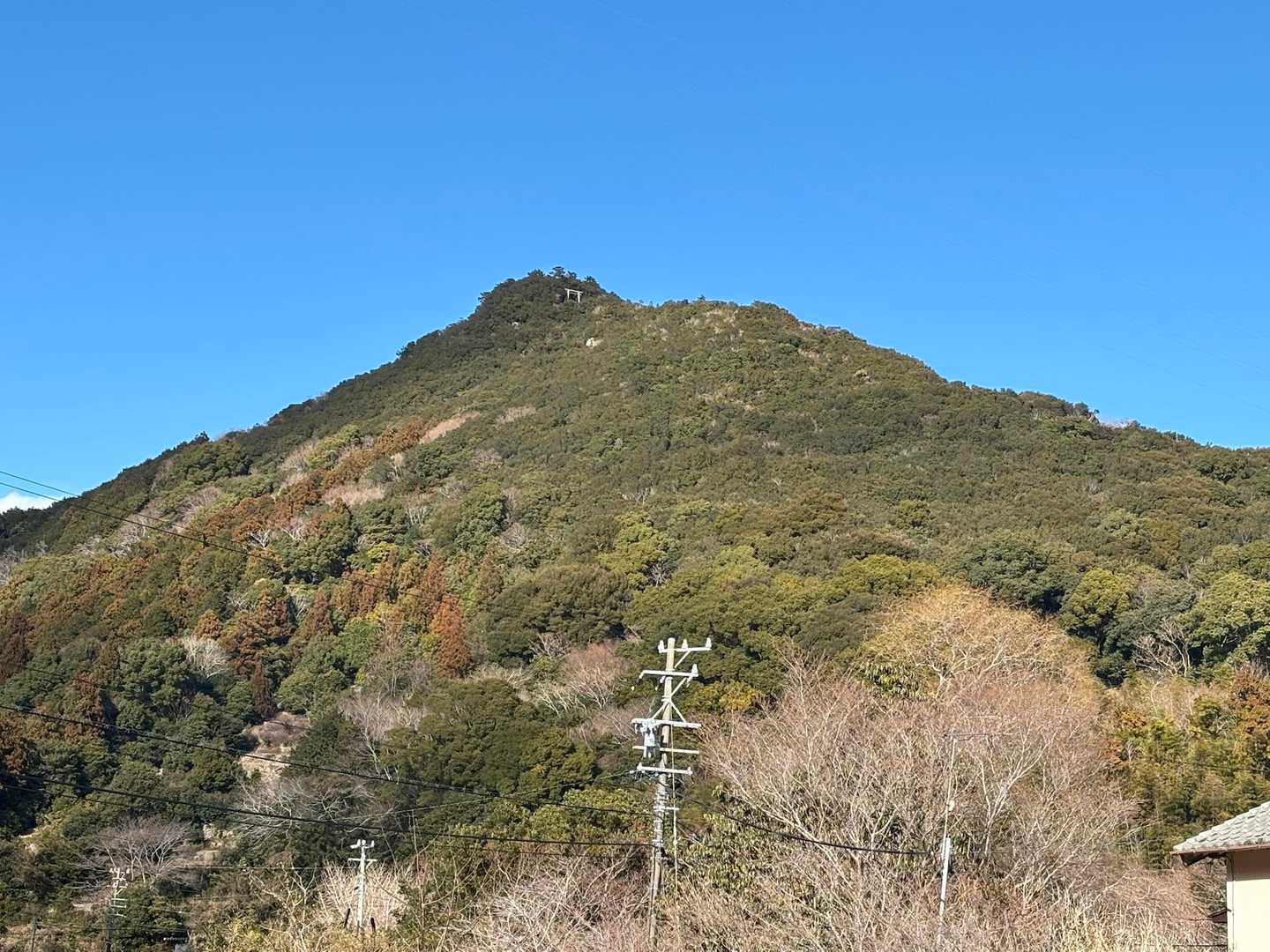 上の方に鳥居⛩️見えるの✨