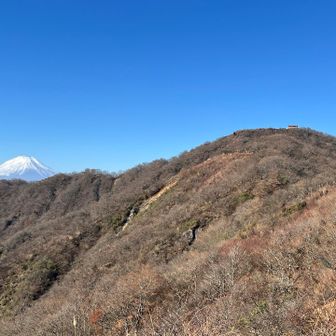 木の又小屋の裏の秘密の景色🤭
塔ノ岳と富士山が一望できるんですよ👍