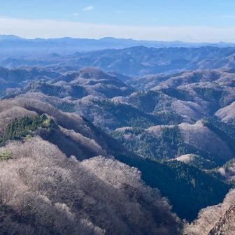 南側。左に筑波山、やや右手にうっすら富士山。