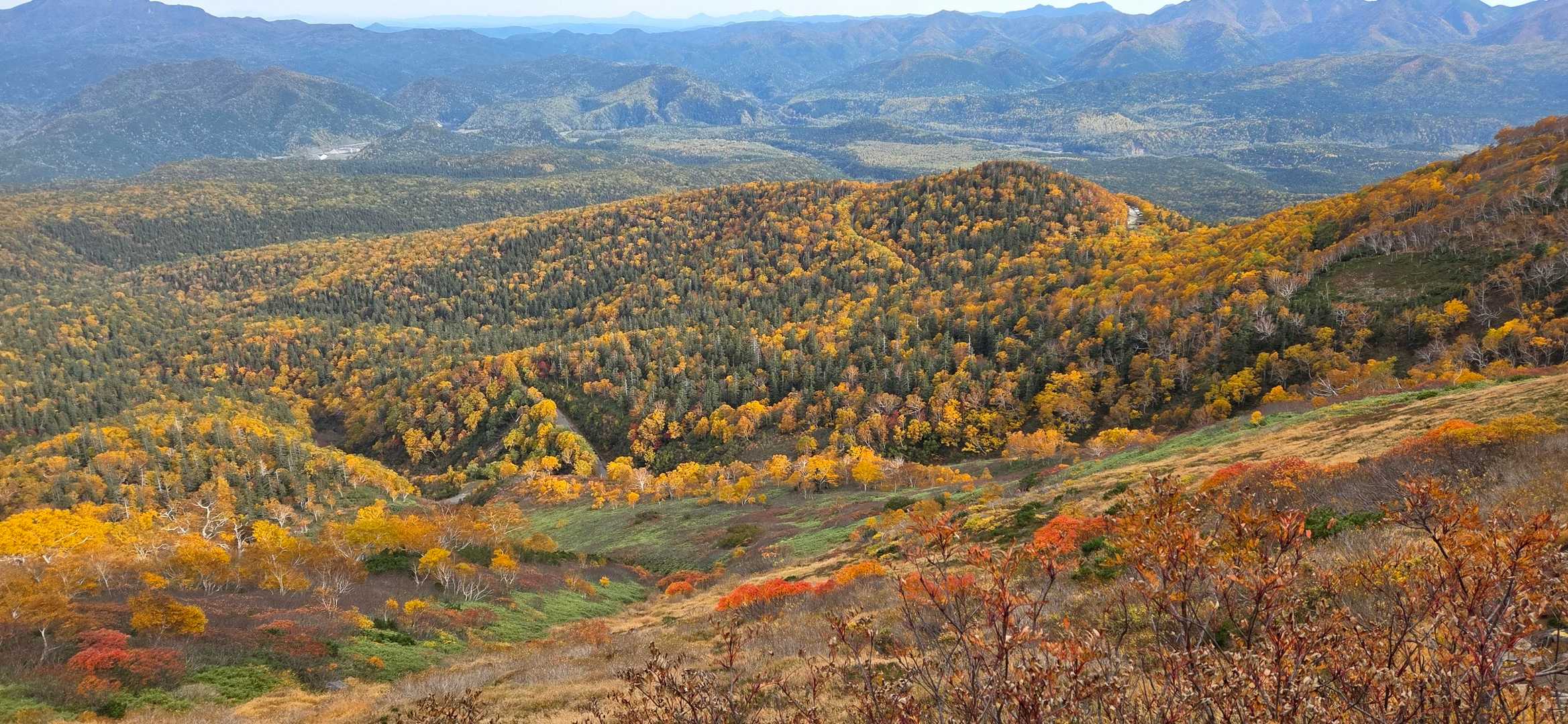 下山🍁進んだ（笑）