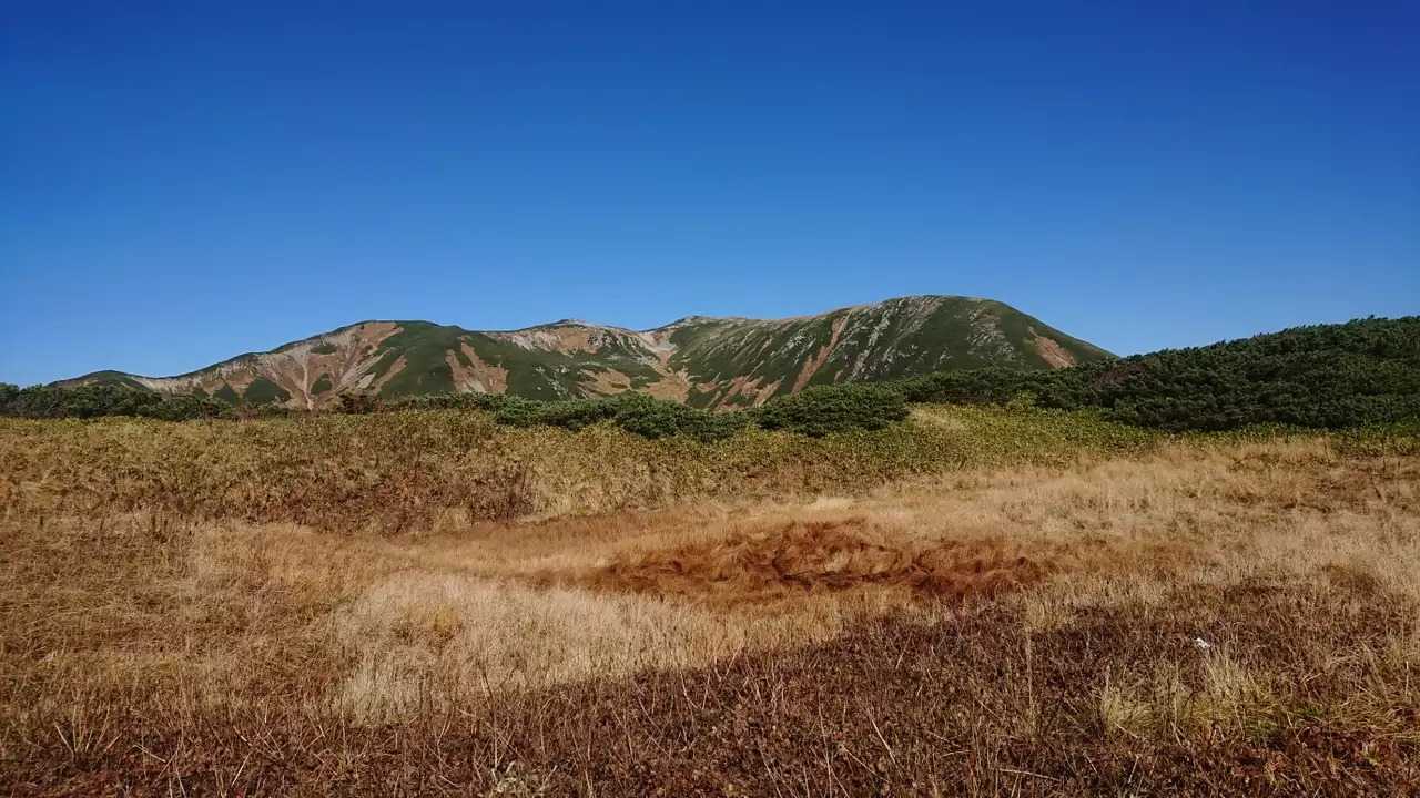 双六岳の写真