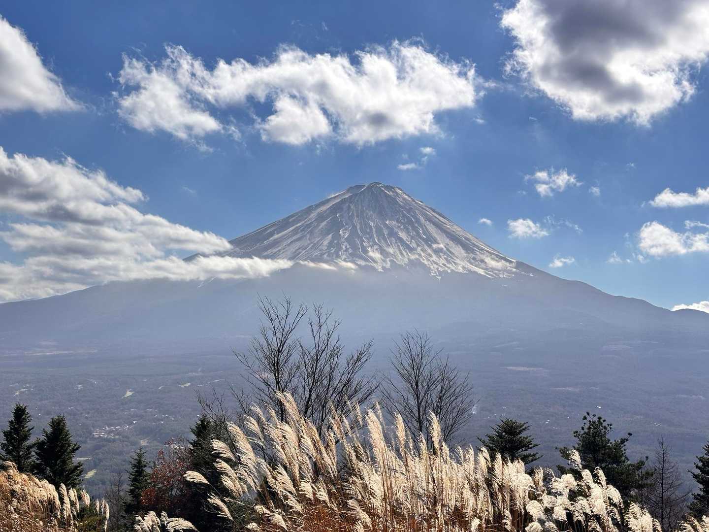 五湖台からの富士山🗻