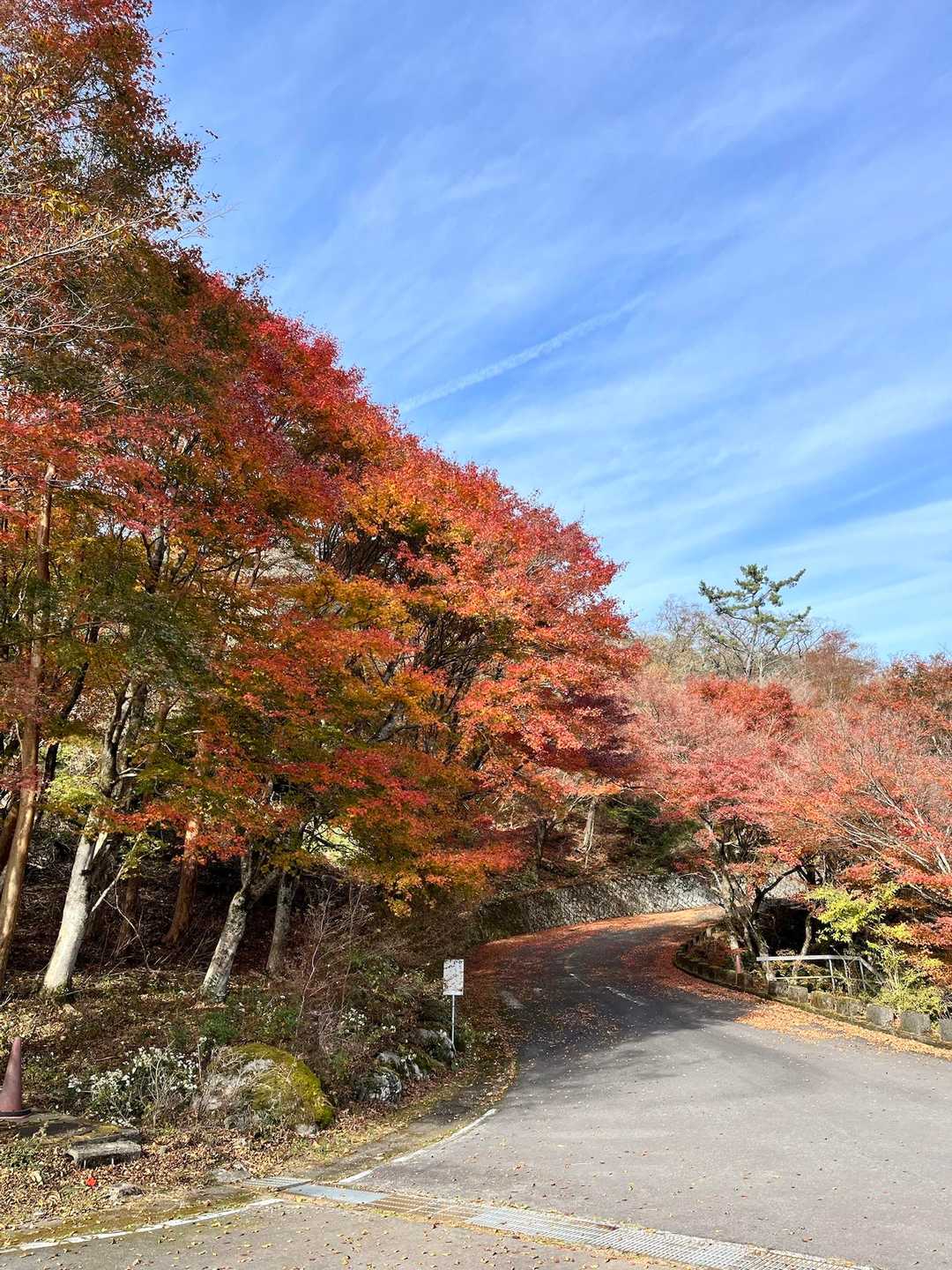 スタートから最高の紅葉🍁です😃では、行ってきます🥾