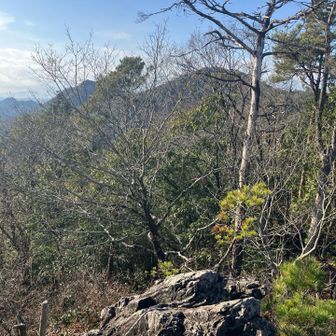 岩場にを通過。
山頂かと思ったら通過点でした。
振り返ると大仏山と本城山が見えました。✨