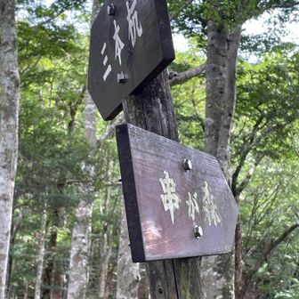 三本杭の方へ👈