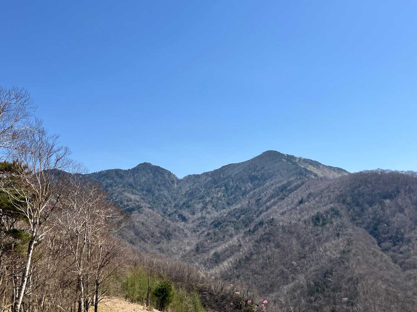 眺望が開けて前袈裟丸山（右）と後袈裟丸山（左）が見えてきました